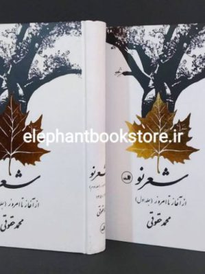 خرید کتاب شعرنو از آغاز تا امروز نشر ثالث