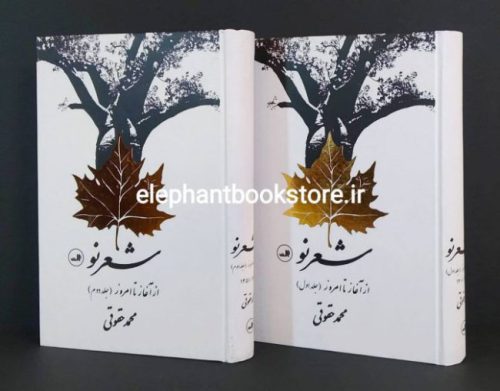 خرید کتاب شعرنو از آغاز تا امروز نشر ثالث