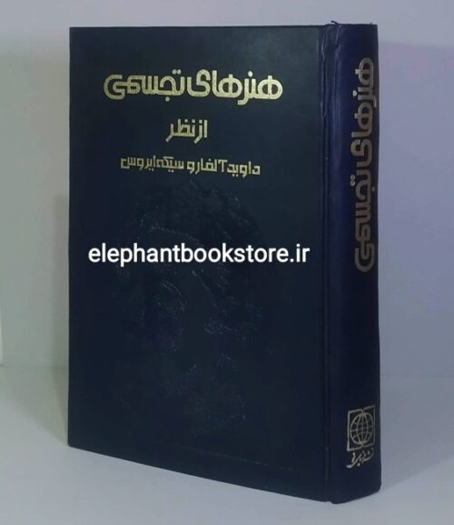خرید کتاب هنرهای تجسمی از نظر داوید آلفارو سیکه ایروس نشر دنیای نو