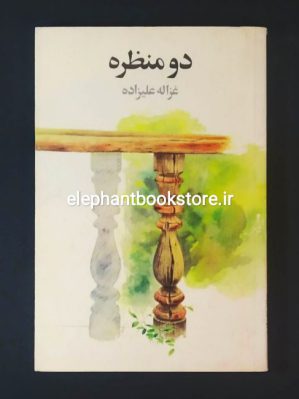 خرید کتاب دو منظره اثر غزاله علیزاده