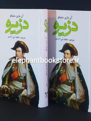 خرید کتاب دزیره اثر آن ماری سلینکو