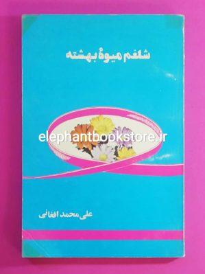 خرید کتاب شلغم میوه بهشته اثر علی محمد افغانی