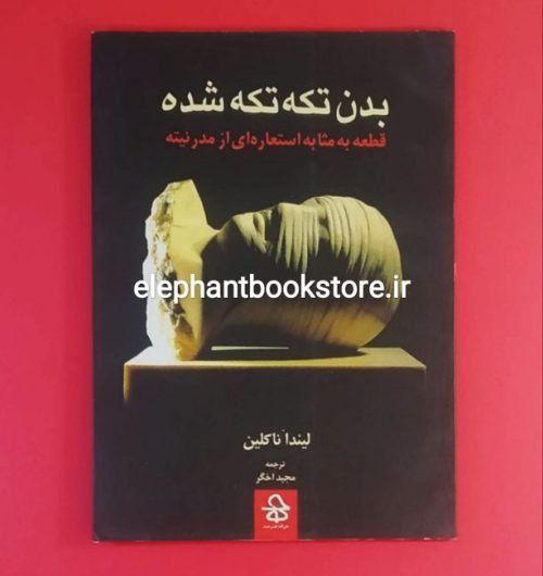 خرید کتاب بدن تکه تکه شده (قطعه به مثابه استعاره ای از مدرنیته) انتشارات حرفه هنرمند