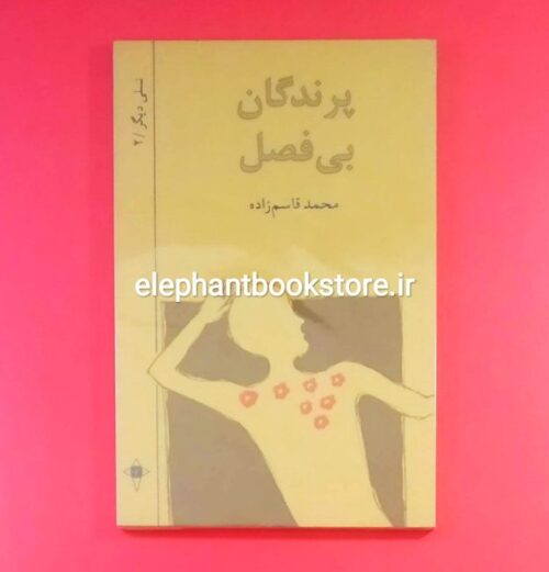 خرید کتاب پرندگان بی فصل اثر محمد قاسم زاده انتشارات فکر روز