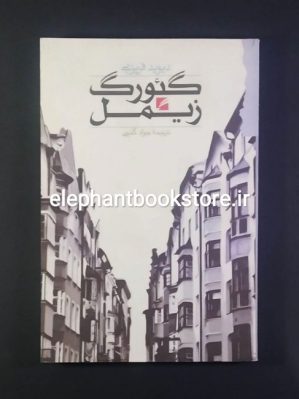 خرید کتاب گئورگ زیمل اثر دیوید فریزبی انتشارات گام نو