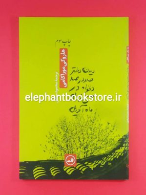 خرید کتاب دیدن دختر صددرصد دلخواه در صبح زیبای ماه آوریل نشر ثالث