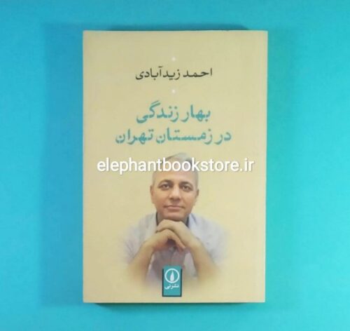 خرید کتاب بهار زندگی در زمستان تهران اثر احمد زیدآبادی نشر نی