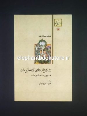 خرید کتاب شاهزاده ای که خر شد اثر لئونید سالاویف انتشارات امیرکبیر