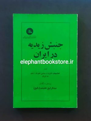 خرید کتاب جنبش زیدیه در ایران اثر عبدالرفیع حقیقت انتشارات آزاداندیشان