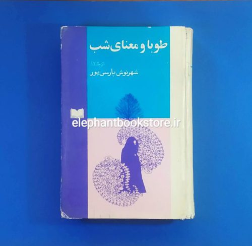 خرید کتاب طوبا و معنای شب اثر شهرنوش پارسی پور انتشارات اسپرک