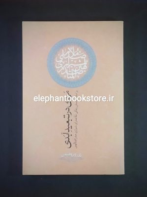 خرید کتاب مردی در تبعید ابدی اثر نادر ابراهیمی انتشارات روزبهان