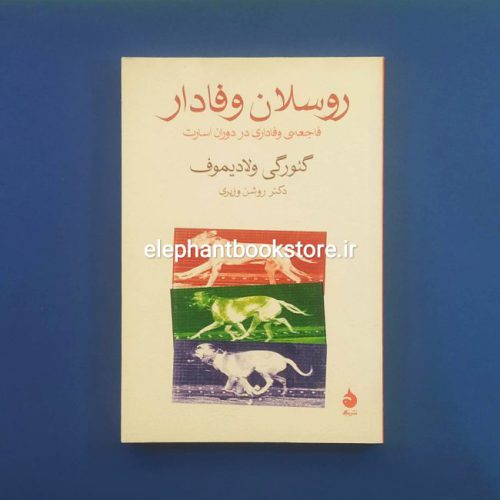 خرید کتاب روسلان وفادار اثر گئورگی ولادیموف نشر ماهی