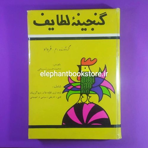 خرید خرید کتاب گنجینه لطایف اثر م. فرزاد انتشارات بنیاد