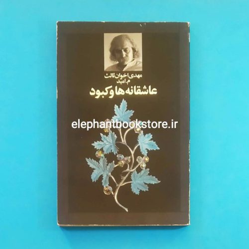 خرید کتاب عاشقانه ها و کبود اثر مهدی اخوان ثالث انتشارات نگاه