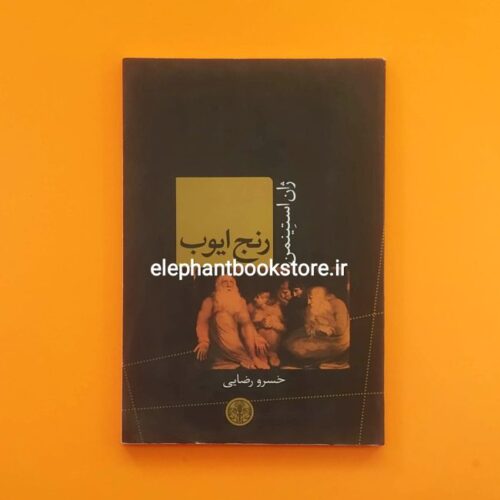 خرید کتاب رنج ایوب اثر ژان استینمن انتشارات کتاب پارسه