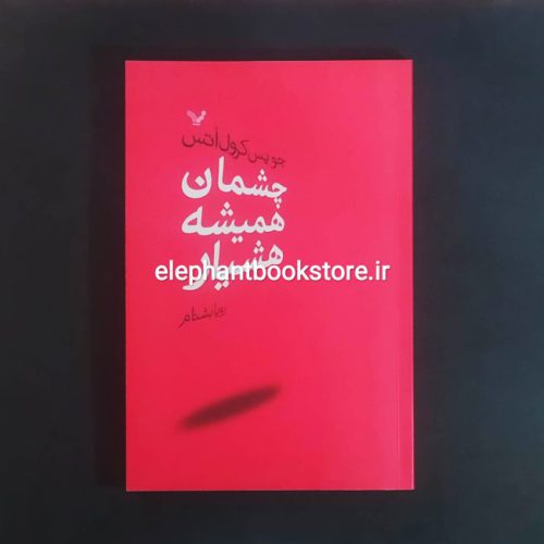 خرید کتاب چشمان همیشه هشیار اثر جویس کرول اوتس