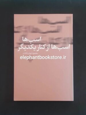 خرید کتاب اسب ها اسب ها از کنار یکدیگر اثر محمود دولت آبادی نشر چشمه