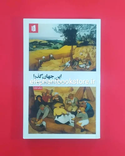 خرید کتاب این جهان گذرا اثر دیوید کریسچن نشر بیدگل