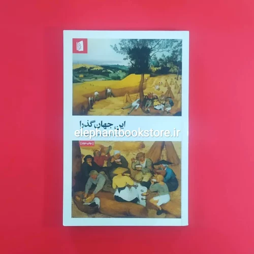 خرید کتاب این جهان گذرا اثر دیوید کریسچن نشر بیدگل