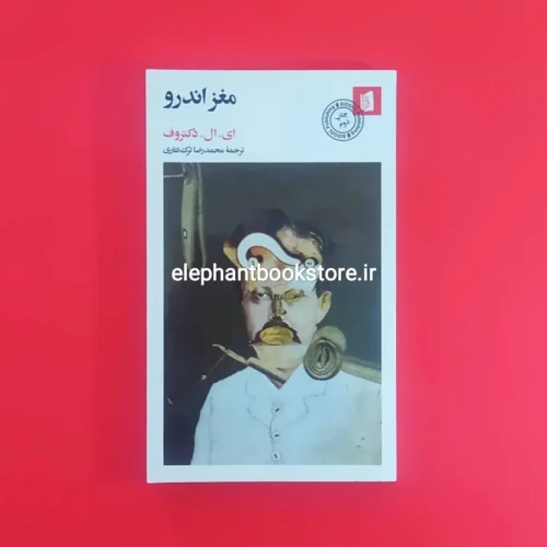خرید کتاب مغز اندرو اثر ای. ال. دکتروف نشر بیدگل