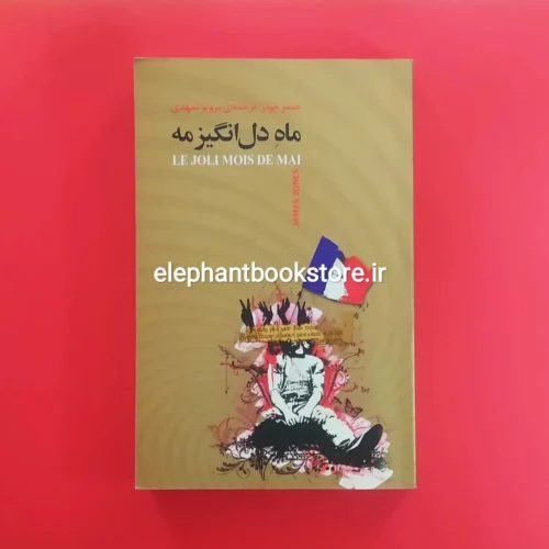 خرید کتاب ماه دل انگیز مه اثر جیمز رامون جونز نشر نیکا