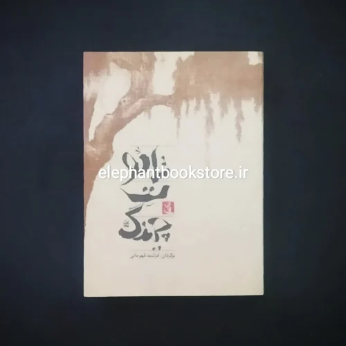 خرید کتاب تائوت چینگ نشر مثلث