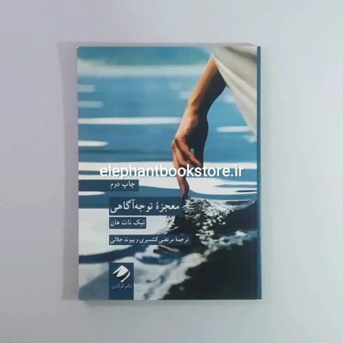 خرید کتاب معجزه توجه آگاهی اثر تیچ نات هان نشر کرگدن