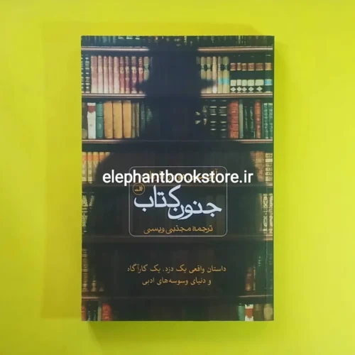 خرید کتاب جنون کتاب ترجمه مجتبی ویسی نشر ثالث
