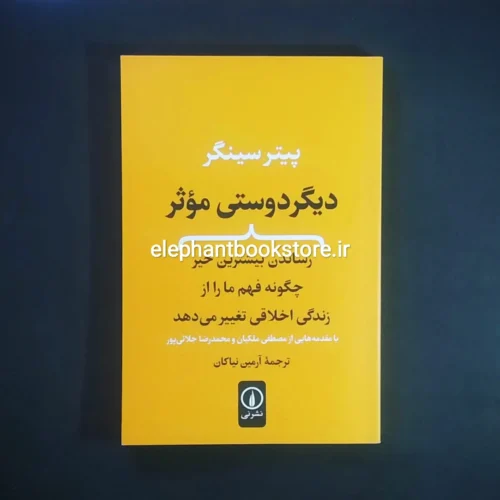 خرید کتاب دیگر دوستی موثر اثر پیتر سیگر نشر نی