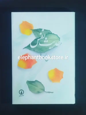 خرید کتاب حدیث نفس اثر حسن کامشاد نشر نی