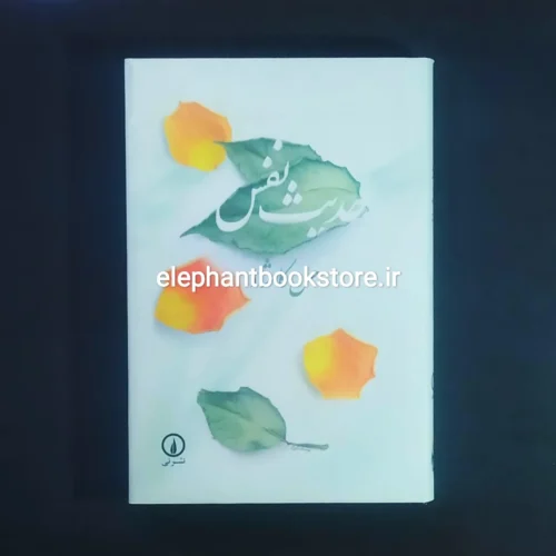 خرید کتاب حدیث نفس اثر حسن کامشاد نشر نی
