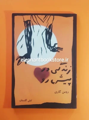 خرید کتاب زندگی در پیش رو ترجمه لیلی گلستان انتشارات بازتاب نگار