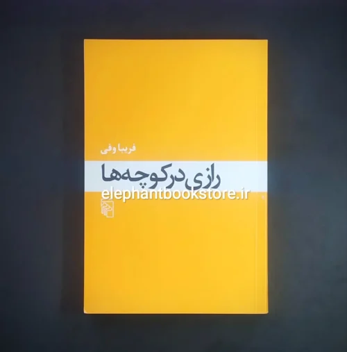 خرید کتاب رازی در کوچه ها اثر فریبا وفی نشر مرکز