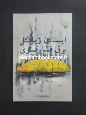 خرید کتاب ایستادن زیر دکل برق فشار قوی اثر داوود غفارزادگان نشر چشمه