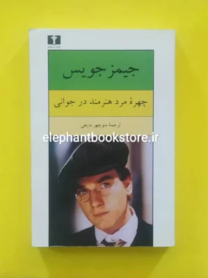خرید کتاب چهره مرد هنرمند در جوانی انتشارات نیلوفر
