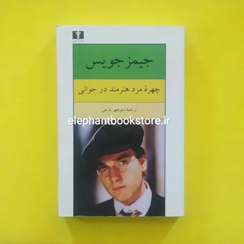 خرید کتاب چهره مرد هنرمند در جوانی انتشارات نیلوفر