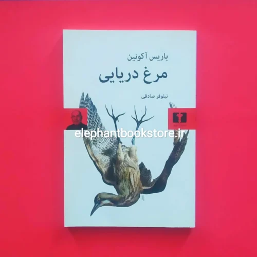 خرید کتاب مرغ دریایی اثر باریس آکونین نشر نیلوفر