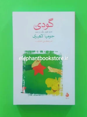 خرید کتاب گودی ترجمه امیرمهدی حقیقت نشر ماهی
