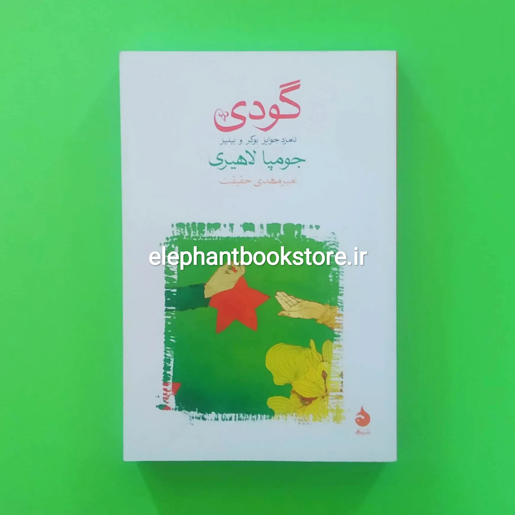 کتاب گودی ترجمه امیرمهدی حقیقت خرید کتاب گودی ترجمه امیرمهدی حقیقت نشر ماهی