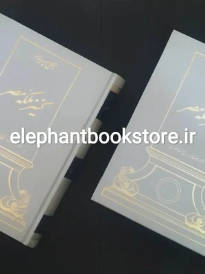 خرید کتاب کنیز ملکه مصر اثر میکل پیرامو نشر زرین