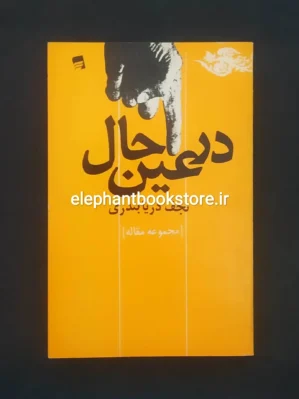 خرید کتاب در عین حال اثر نجف دریابندری نشر پرواز