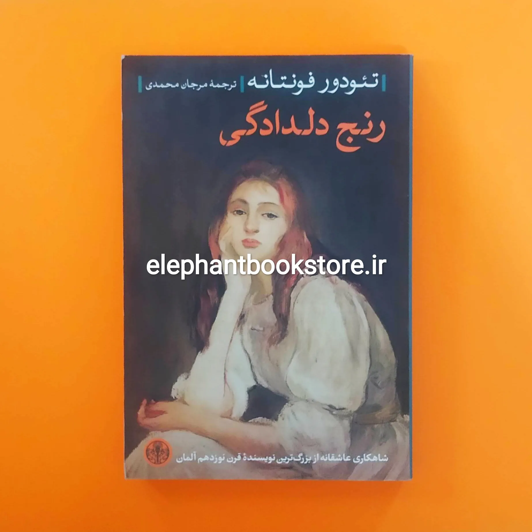 کتاب رنج دلدادگی خرید کتاب رنج دلدادگی اثر تئودور فونتانه نشر کتاب پارسه