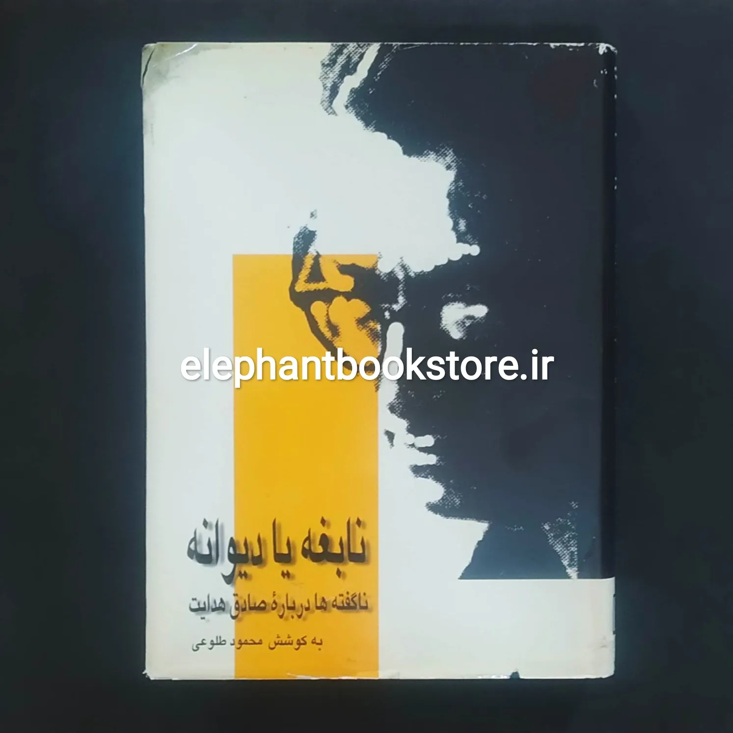 کتاب نابغه یا دیوانه؟ ناگفته ها درباره صادق هدایت اثر محمود طلوعی خرید کتاب نابغه یا دیوانه؟ ناگفته ها درباره صادق هدایت اثر محمود طلوعی نشر علم