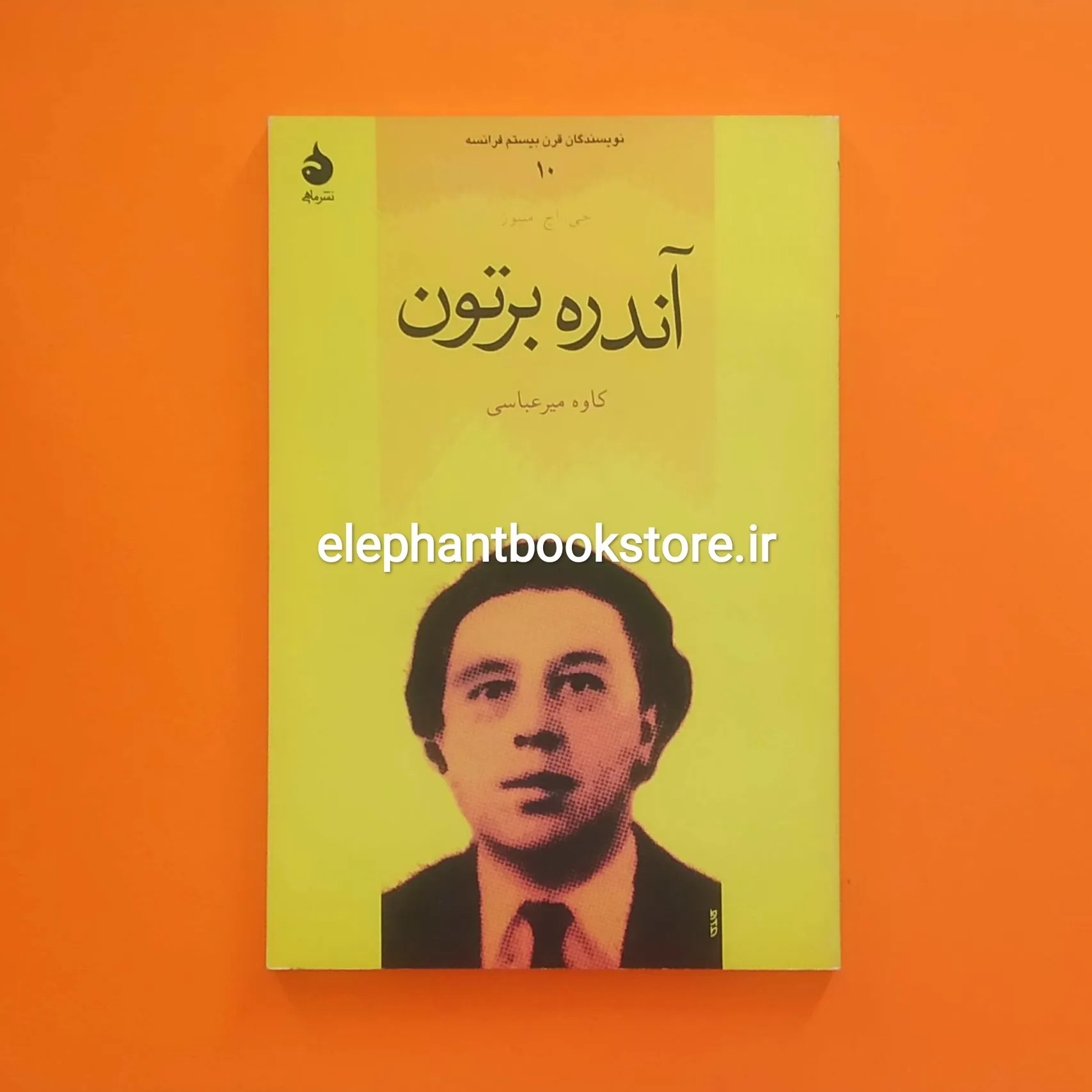 کتاب آندره برتون خرید کتاب آندره برتون اثر جی. اچ. میتوز نشر ماهی