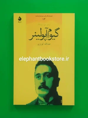 خرید کتاب گیوم آپولینر اثر لروی‌ سی. برونینگ نشر ماهی