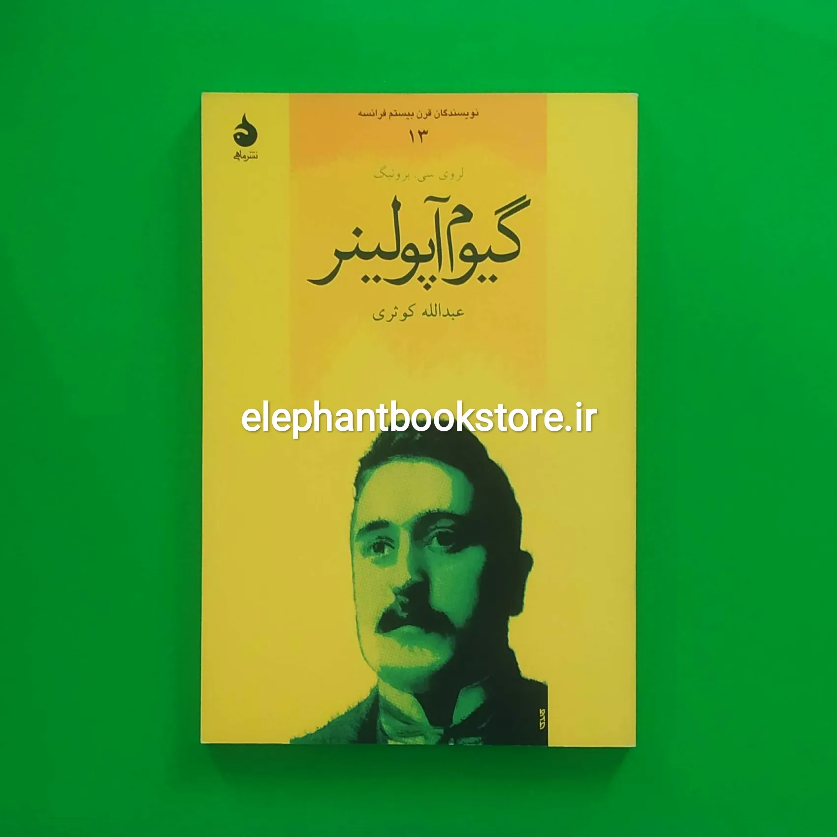 کتاب گیوم آپولینر خرید کتاب گیوم آپولینر اثر لروی سی. برونینگ نشر ماهی