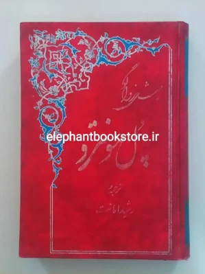 خرید کتاب پل مونترو اثر میشل زواگو انتشارات گوتنبرگ