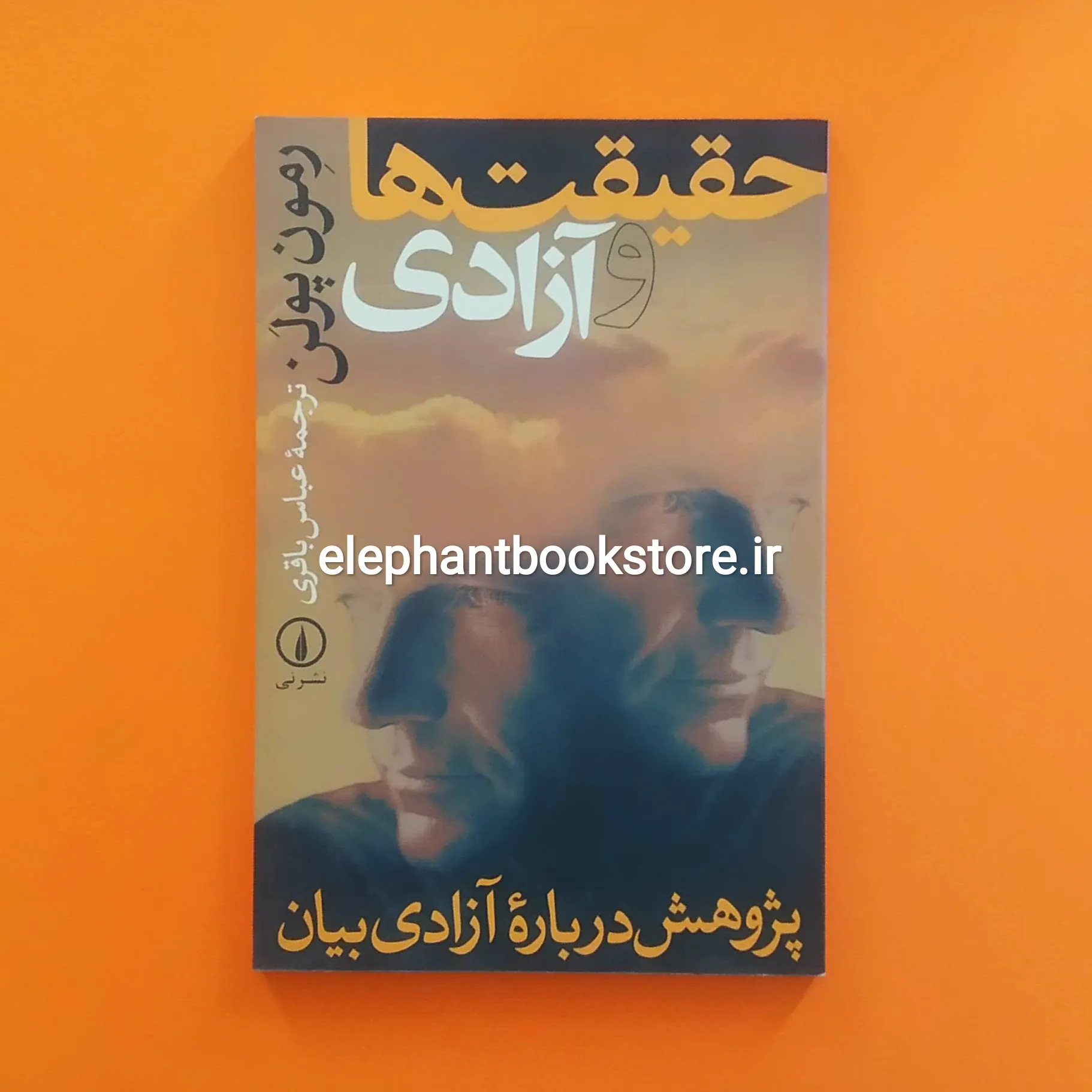 کتاب حقیقت ها و آزادی خرید کتاب حقیقت ها و آزادی اثر رمون پولن نشر نی