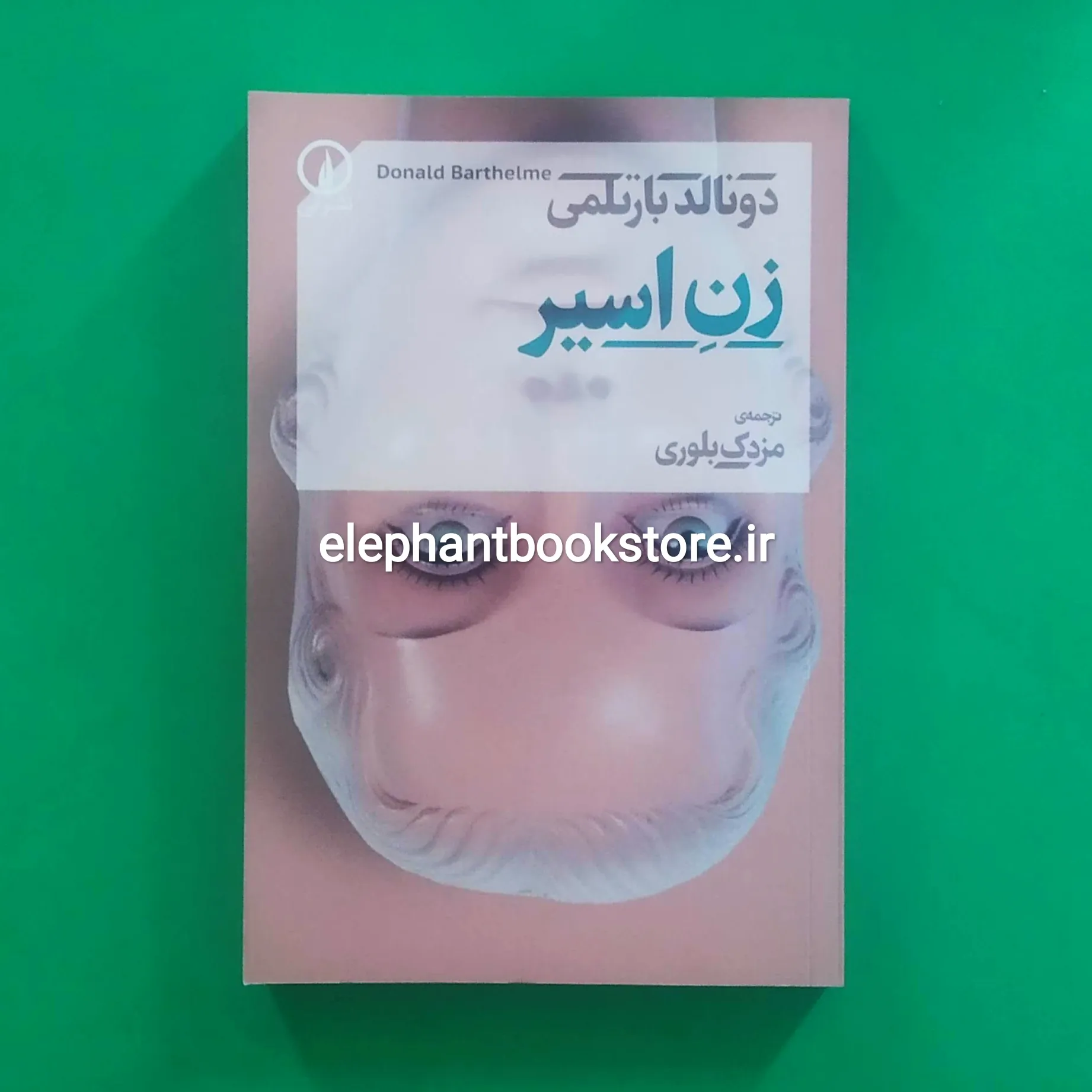 کتاب زن اسیر خرید کتاب زن اسیر اثر دونالد بارتلمی نشر نی