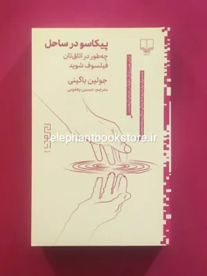 خرید کتاب پیکاسو در ساحل اثر جولیان بگینی نشر چشمه